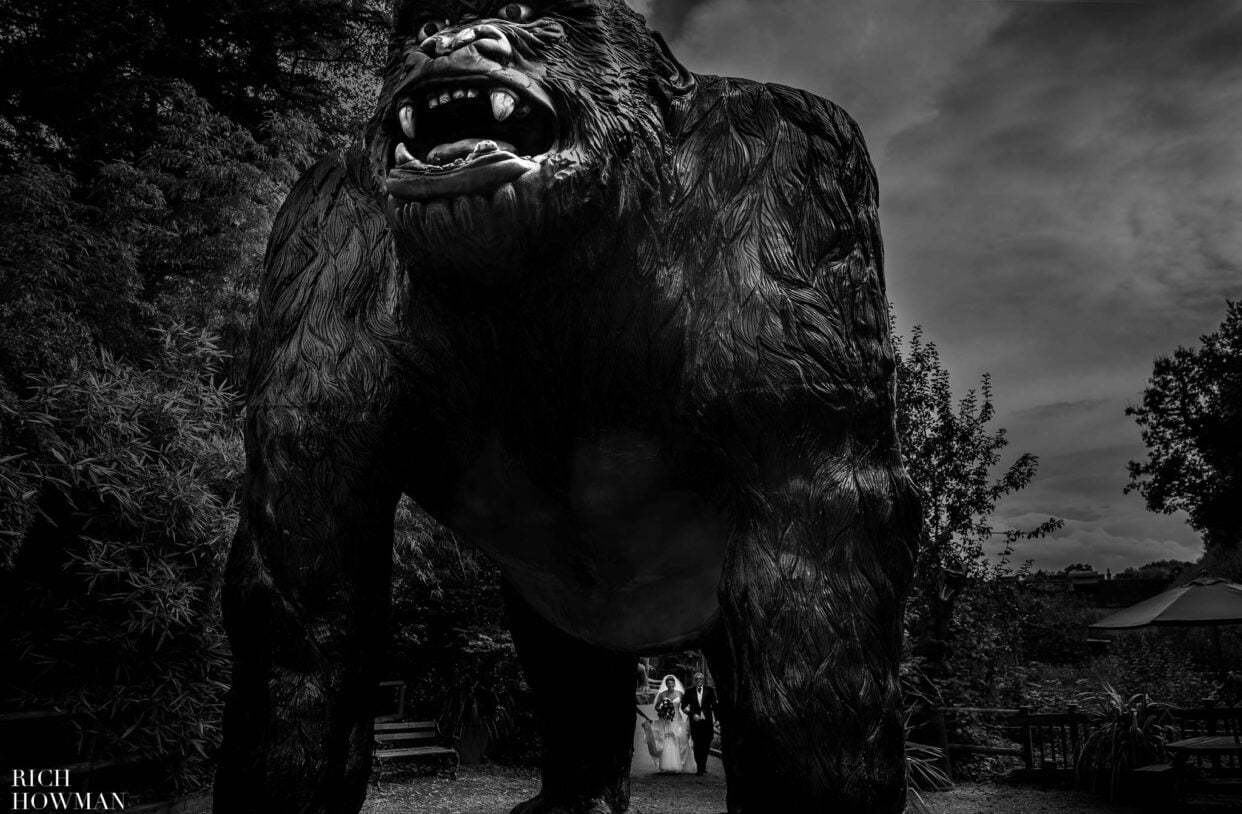 Massive Gorilla with bride and groom beneath, captured by Wookey Hole wedding photographer, Rich howman