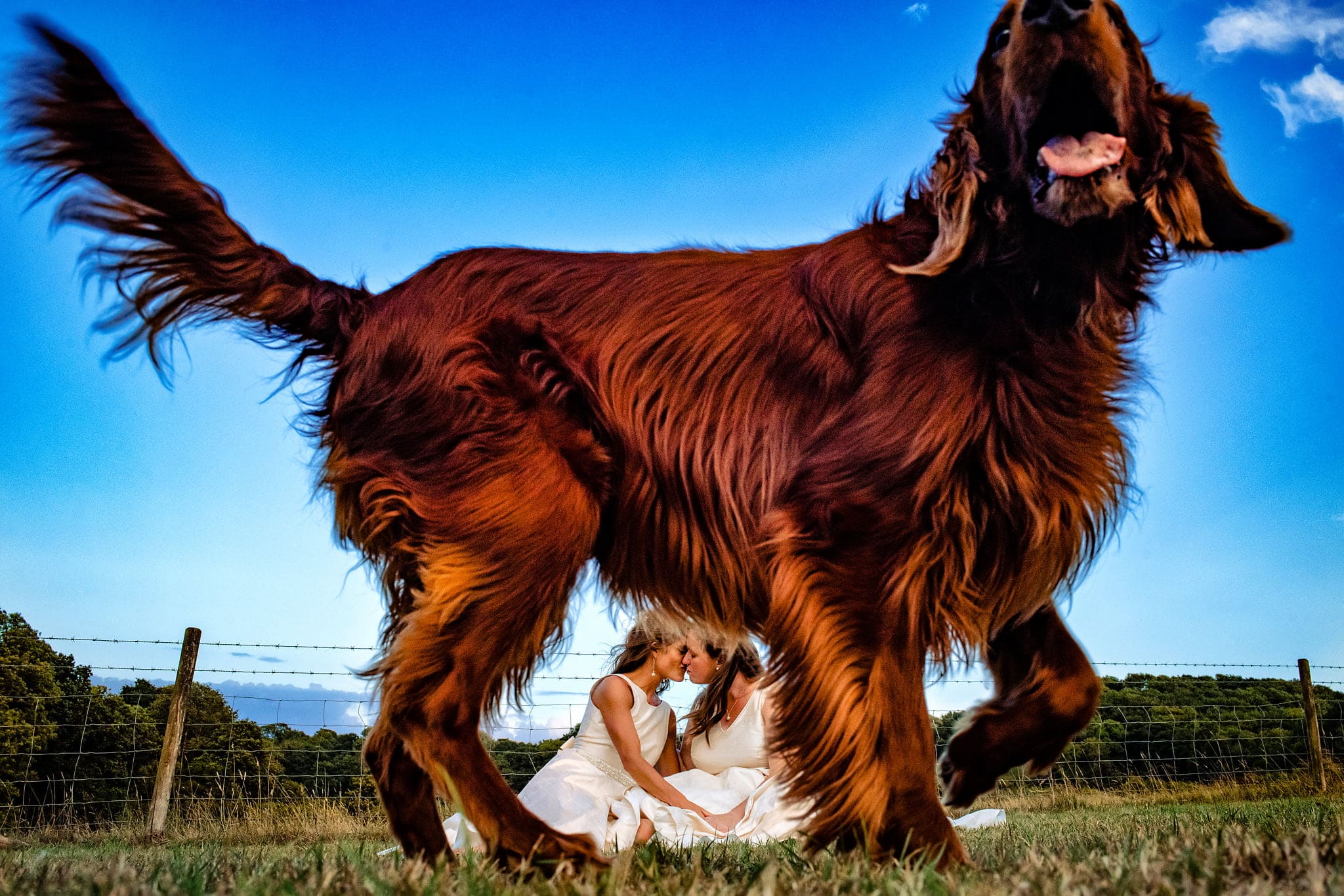 Lesbian Wedding Photographer Bristol UK