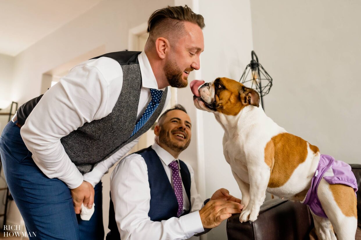 Dogs at Weddings 8
