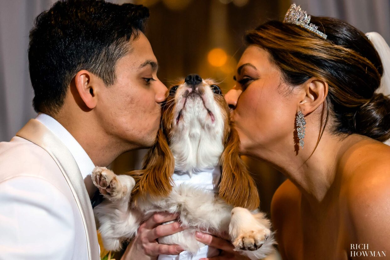 bride and groom kissing their dog at their corinthia hotel wedding